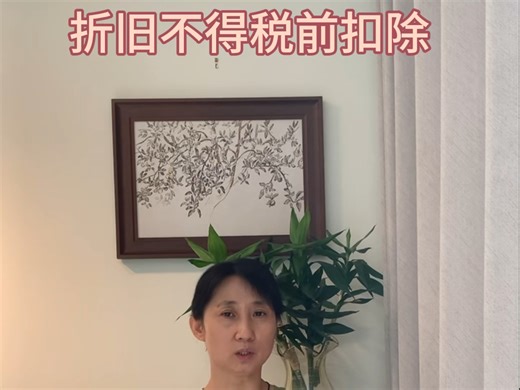 所得税前扣除 折旧 财务 税务 费用