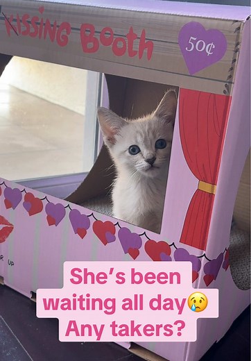 Frankies_Fosters on TikTok