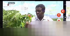 Mekelle University on Reels