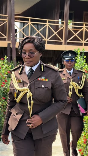 Understanding the Role of DGP Mrs. Patience Baffoe-Bonnie