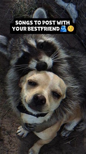 Songs to post with your bestfriend 🫂😚 #2026 #shorts #aesthetic #trending