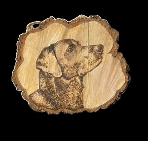 Pets Pictures Burned on Wood. Dogs Pyrography. Personalised Gifts for Pet Lovers. Wall Decor. Handmade, Not Laser Print. - Etsy Canada