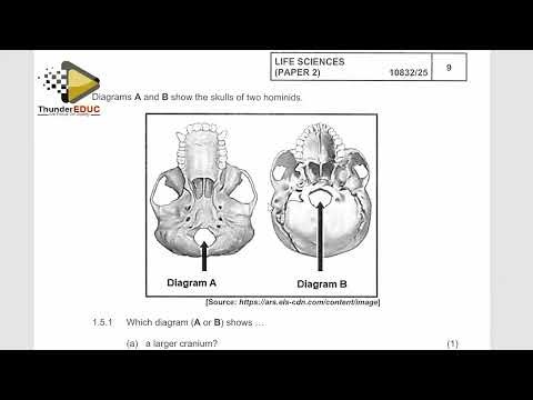 MEMO LIFE SCIENCES PAPER 2 GRADE 12 GAUTENG 2025 [THUNDEREDUC] GRADE 12 LIFE SCIENCES MEMO P.2