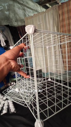 Creating a Mini Loft for Pigeons: Step-by-Step Guide