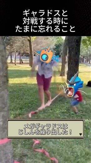 ギャラドス対面で必ず気を付けること #ポケモン #チャンピオンズ #環境 #メガギャラドス