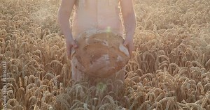 Girl holding and giving a fresh baked bread standing in the rye in the wheat on the sunset, ecological fresh bread, homemade food