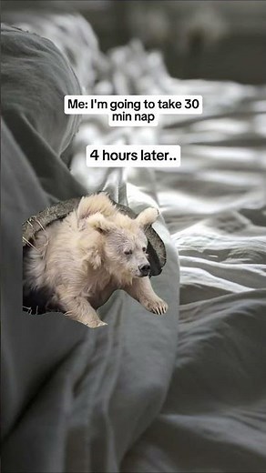 Me: I’m just gonna take a 30-minute nap 😌 #meme #memes #relatable #momlife #naptime