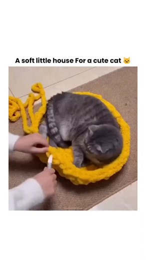Theviralblendhub on Instagram: "The video shows a creator crocheting a bright yellow, pineapple-shaped cat bed using thick chenille yarn and a large hook, working directly around a calm gray cat resting on the base. The process begins with a circular foundation, then gradually builds the side walls as the cat remains comfortably in place. The top is closed to form a cozy cave, finished with green leaf details that complete the pineapple look. The final shots show cats happily using the completed