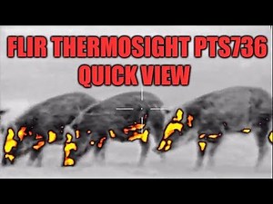 FLIR THERMOSIGHT PRO PTS736 THERMAL SCOPE QUICK VIEW