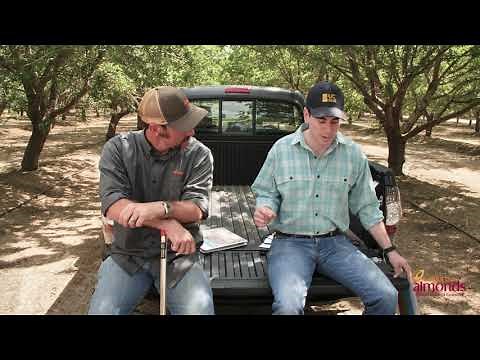 The Irrigation Station | Strategic Deficit Irrigation | California Almonds