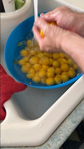 Confiture de mirabelles