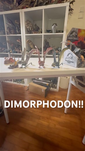my dimorphodon figures!! #jurassicworld#dimorphodon#matteljurassicworld#dinosaur#dinosaurtoy#toys