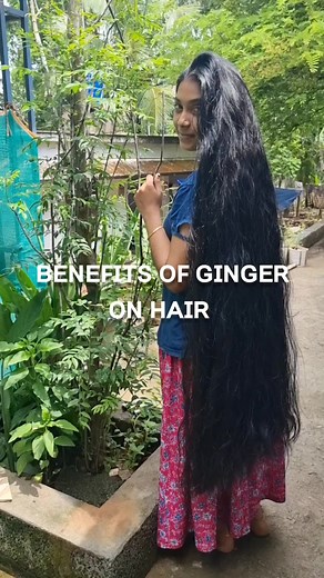30K views · 639 reactions | Benefits of Ginger on Hair | How to use it | Tharan maran inji | Long hair video & tips roopa sarathbabu | Facebook