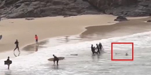 Watch: Shark chases surfers after attack along Australia beach