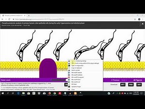 Inkscape for scientists - 22 | How to convert image to vector graphics - Trace bitmap
