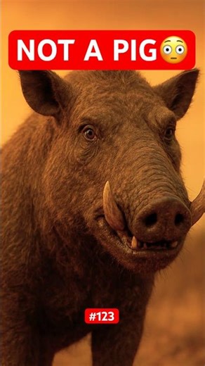 Archaeotherium: The Predator That LOOKED Like a Pig but Ate Like a Wolf | A - Z Animals Part 123 |