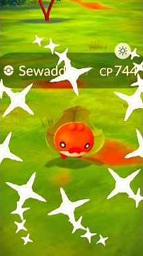 Pokémon GO Shiny Sewaddle! Ultra Rare Green Bug Shiny! #pokemongo