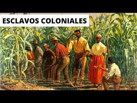 ¿COMO ERA la VIDA de un ESCLAVO en la ÉPOCA COLONIAL?