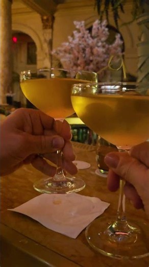POV: Toasting With The Best Dirty Martinis At The Plaza 🍸✨
