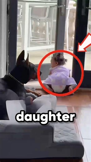 this protective dog judged mom’s parenting #dogslove #dogsandbabies