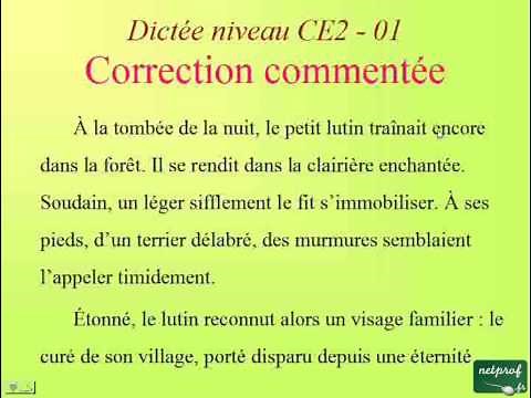 Dictée niveau CE2 - 01. Le passé simple et les différentes orthographes du son « é »