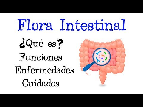 🦠 ¿Qué es la Flora Intestinal? 🦠 Funciones 💥 Enfermedades 💥 Cuidados 🧫 [Fácil y Rápido] | BIOLOGÍA |