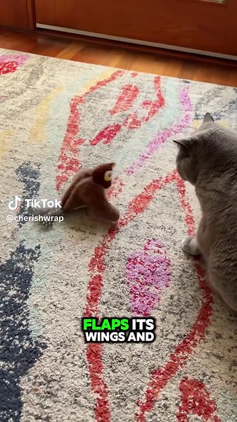 Flying Bird Interactive Cat Toy for Endless Fun