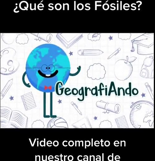 ¿Qué son los fósiles? Aprende su definición y significado