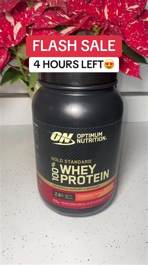 Last Chance for Flash Sale Discounts - 4 Hours Left