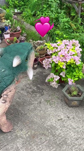 Dinosaur Robot Falls in Love With Flowers