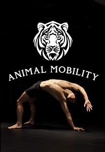 Comment “MOVE” to get access to my exact training plan & protocols designed to get you strong AND mobile. 📝 If your body is always tight, try these 3 animal inspired movements ↓ 1️⃣ GORILLA WALK • Move on all fours, staying low to the ground. Keeping the legs bent and arms relatively straight. • Practice this type of locomotion until your movement becomes smoother and easier and you’ll naturally build healthier hips, knees, and ankles. → You’ll get stronger wrists, elbows, and shoulders as you