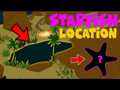 How To Find STARFISH In Fishing Simulator - ROBLOX