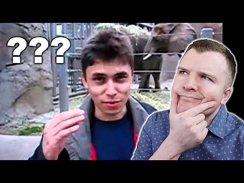 Me at the zoo (Reaction Video)