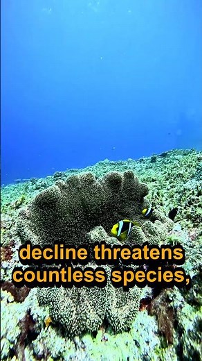 Deep Sea Corals Face Collapse