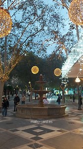 December in Palma ❄️ mallorcard.es The city slows down, but its heart glows brighter. Wander from Plaça Major through the narrow streets into the historic old town. Follow La Rambla under sparkling lights and pass the cafés where people warm their hands around café con leche. Continue toward Plaza España, where locals meet before catching the bus home for the holidays. Palma in December feels intimate and timeless. You see history, tradition and quiet moments between the season’s celebrations. A