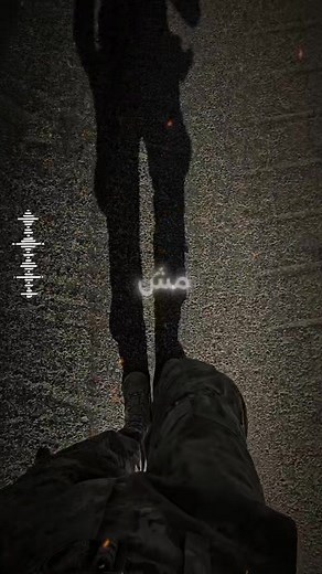 الجيش التونسي: القوة والجهود الخاصة