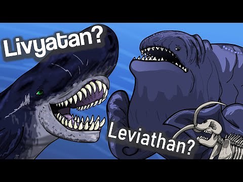 Bloop Diet - Livyatan, Leviathan, what's the difference?