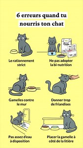 6 erreurs quand tu nourris ton chat 😺❌ Bien sure chaque matou peut s’habituer à un environnement et avoir ses préférences. Mais s’il a tendance à bouder sa gamelle, à être glouton ou avoir un comportement de stress quand il mange, ces conseils peuvent t’aider. 😽 Les erreurs à éviter : 🍽️ Rationnement strict : les repas à heures fixes peuvent générer du stress, voire des troubles du comportement pour ton chat qui a un instinct de grignoteur. Privilégie les gamelles ludiques ou les distributeur
