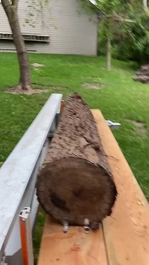 2.5K views · 70 reactions |  This black walnut log had so much tension, but the stunning colors in these slabs make it worth it! Two of the slabs did not sit flat, but they will be able to be cut apart for smaller projects. Love milling with my STIHL MS 661 and Logosol Portable Sawmills F2+.  Fox Forestry LLC #BlackWalnut #Woodworking #StunningSlabs #MillingFun #WoodworkersDream #chainsawmill #sawmill #logosolf2 | Fox Ridge Slabs | Facebook