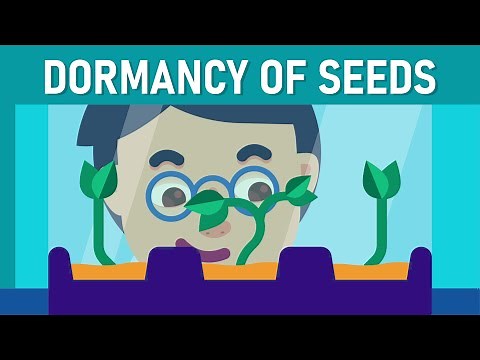 Dormancy: The Sleeping Seed
