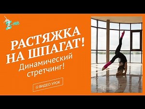 Эффективная растяжка на шпагат! Динамический стретчинг! S-HUB с Лизой Андреевой