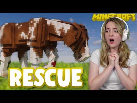 INJURED PONY! -100 Days Rescuing Horses in Minecraft LIVE | Pinehaven