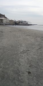 材木座海岸に見られる湧水。 砂浜は濾過装置としての役割りを持っている。 | 鎌倉の海を守る会