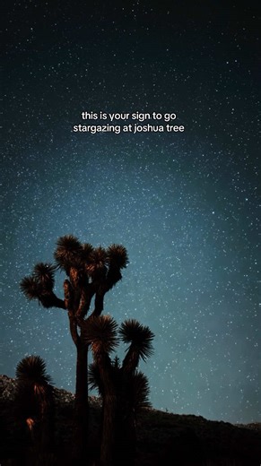 Stargazing at Joshua Tree National Park: A Must-See