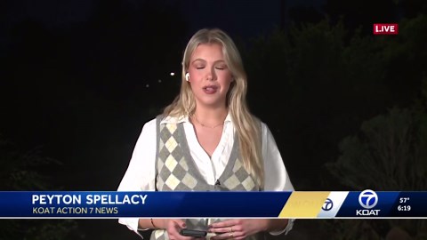 New Mexico fall color road trips