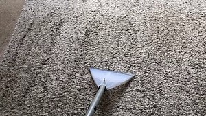 Review Of The Henry Wash Vacuum Cleaner