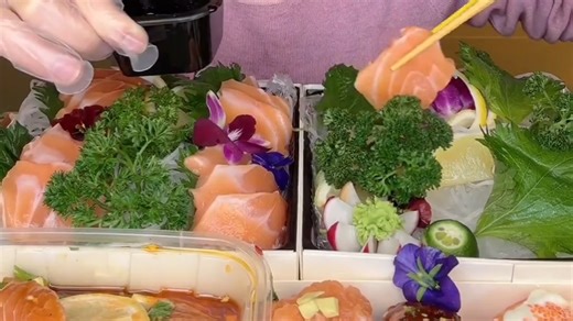 【多人 三文鱼合集/剪说话】三文鱼美食