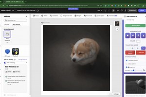 AI3D Primitives for Adobe Express