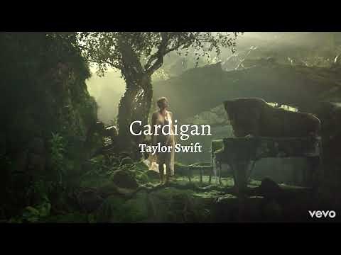 Cardigan - Taylor Swift (lyrics)