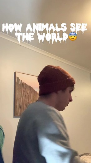 How Animals See The World😨 #fyp #viral #xyzbca